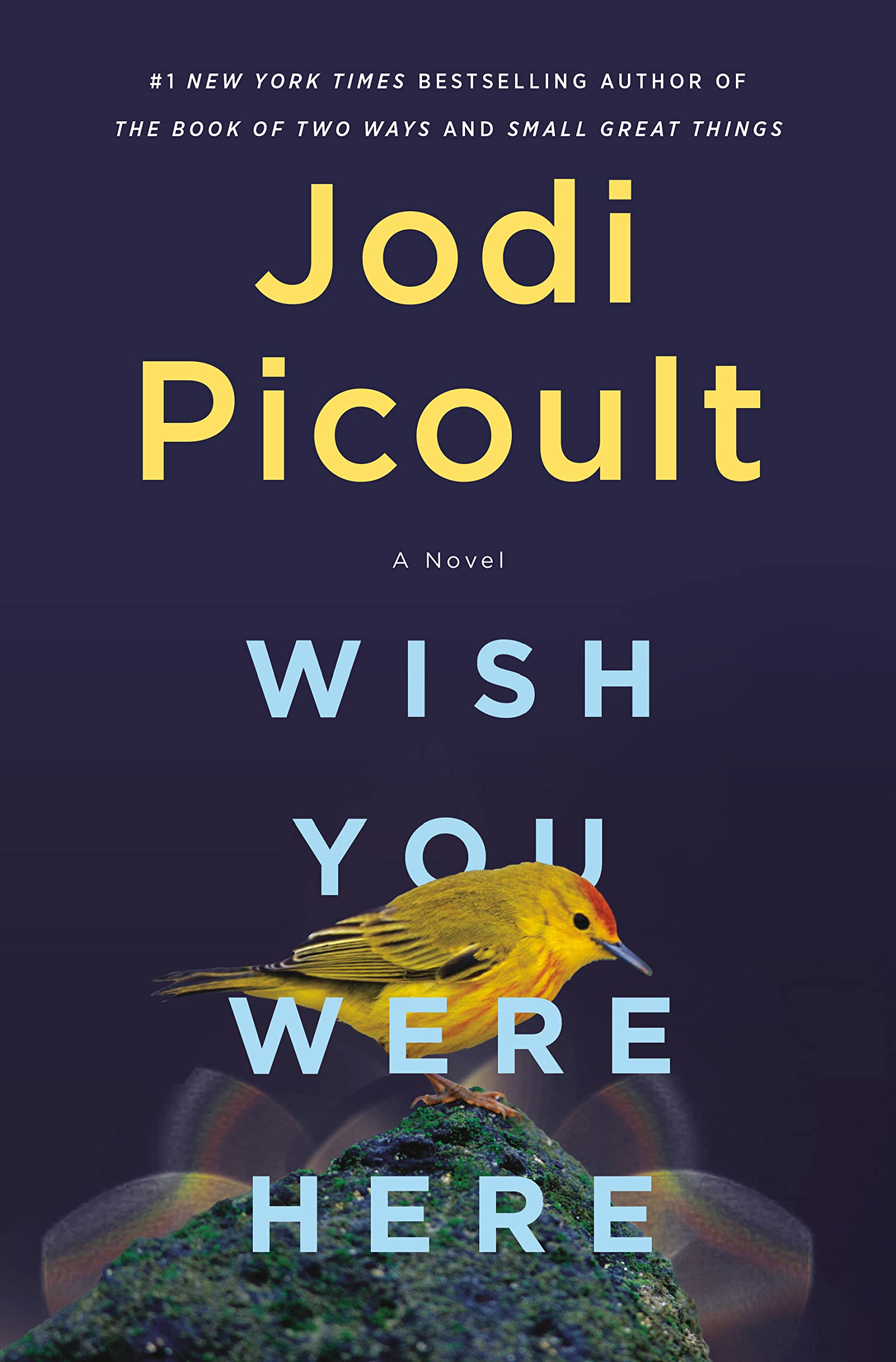 Wish You Were Here Jodi Picoult 2024 Release Check Reads