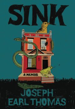 Sink: A Memoir