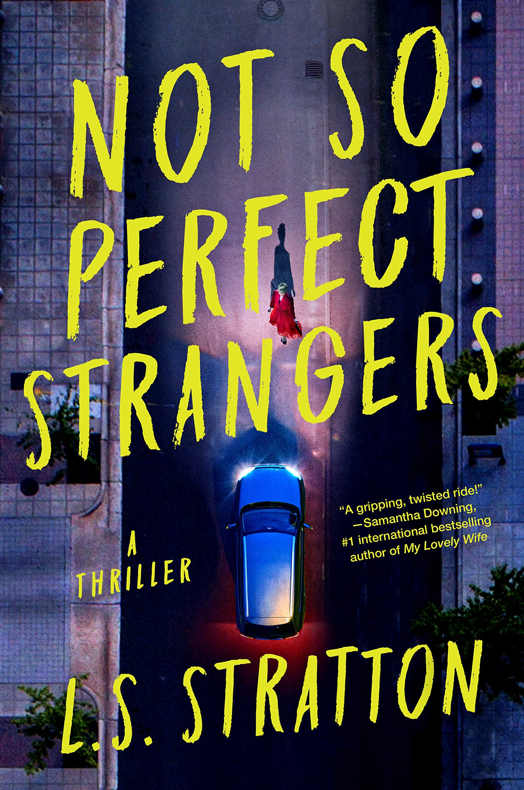 Not So Perfect Strangers L.S. Stratton 2024 Release Check Reads