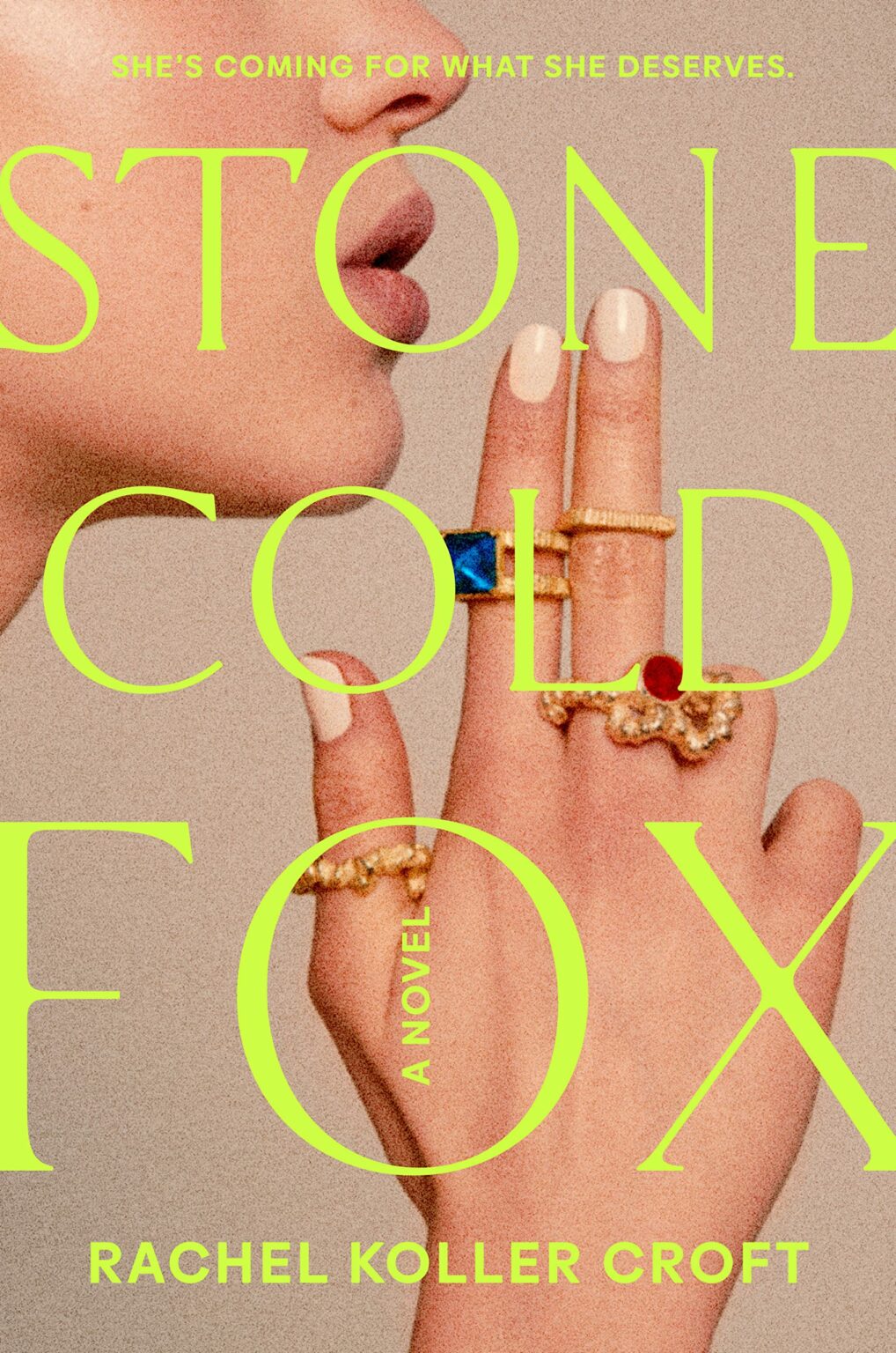 Stone Cold Fox Rachel Koller Croft 2024 Release Check Reads