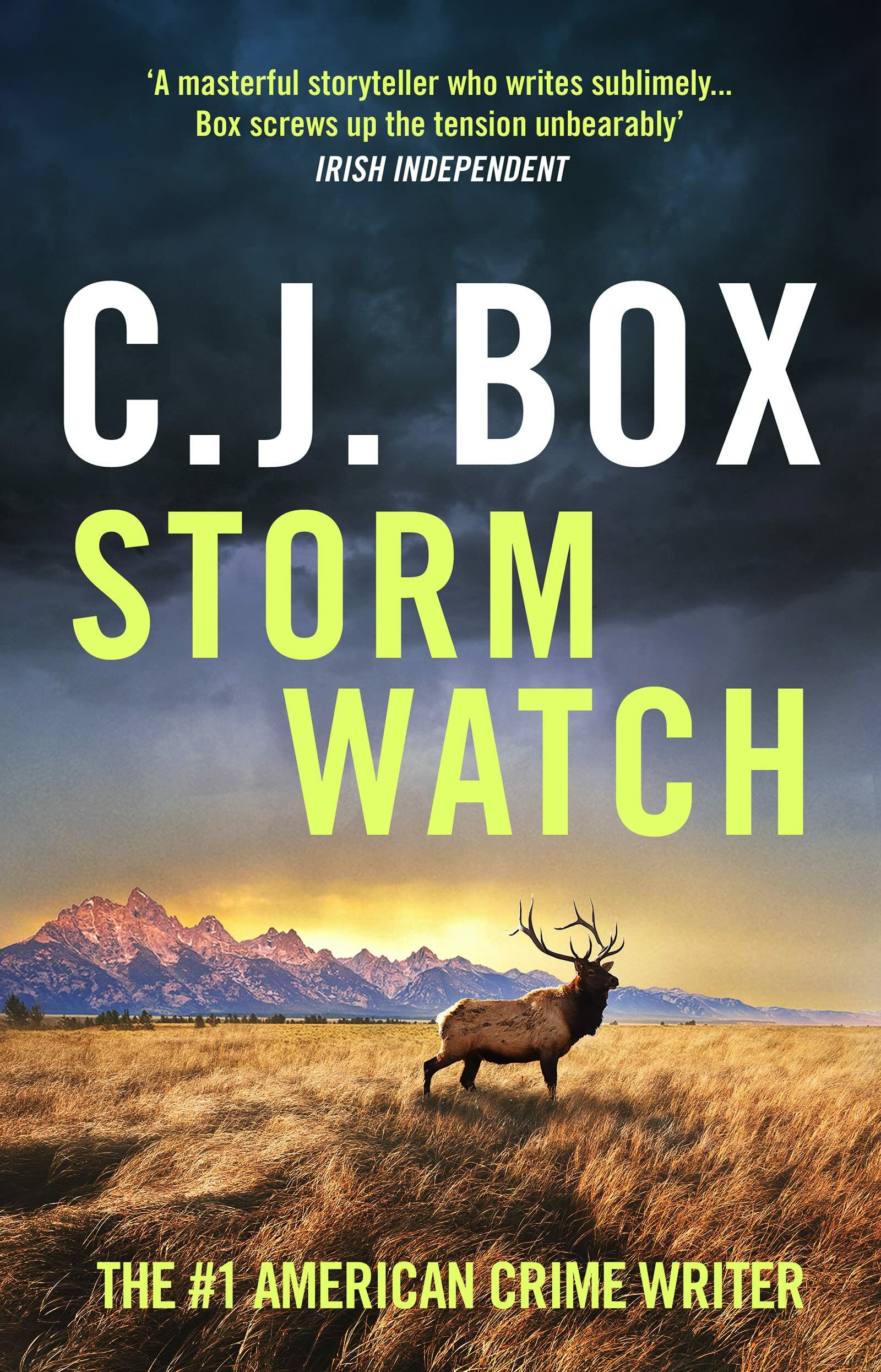 Storm Watch (Joe Pickett #23)