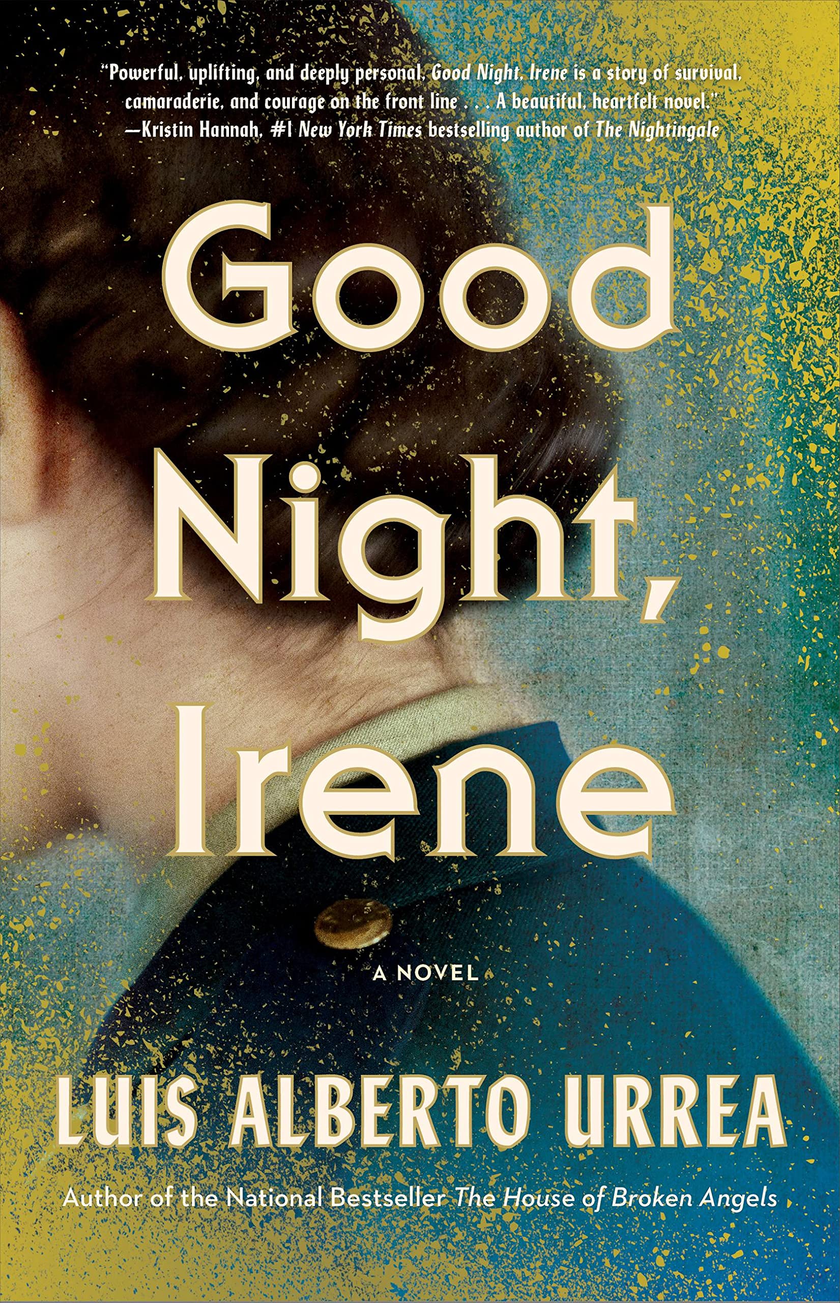 book reviews good night irene