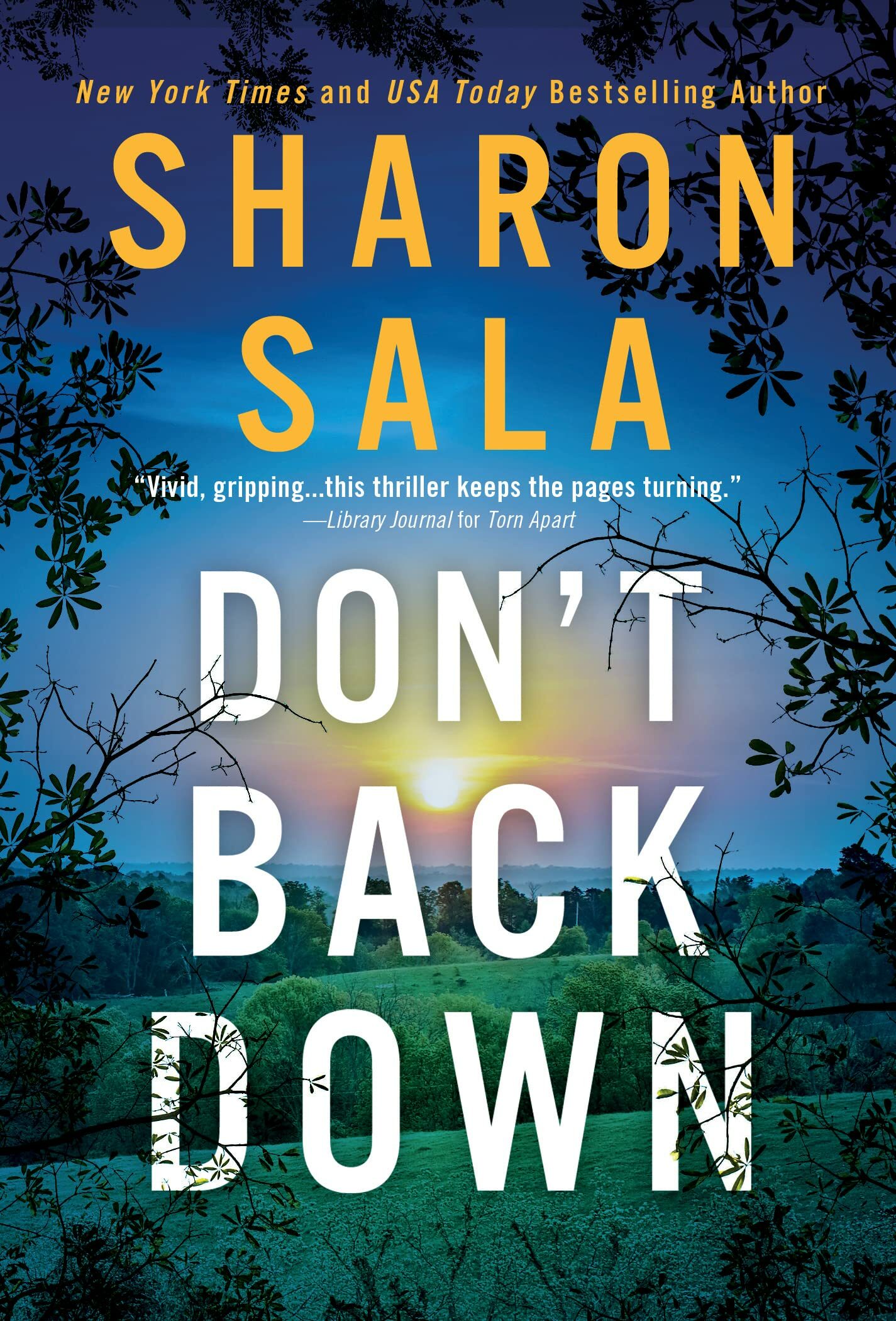 Don't Back Down (Secrets And Shadows #1)