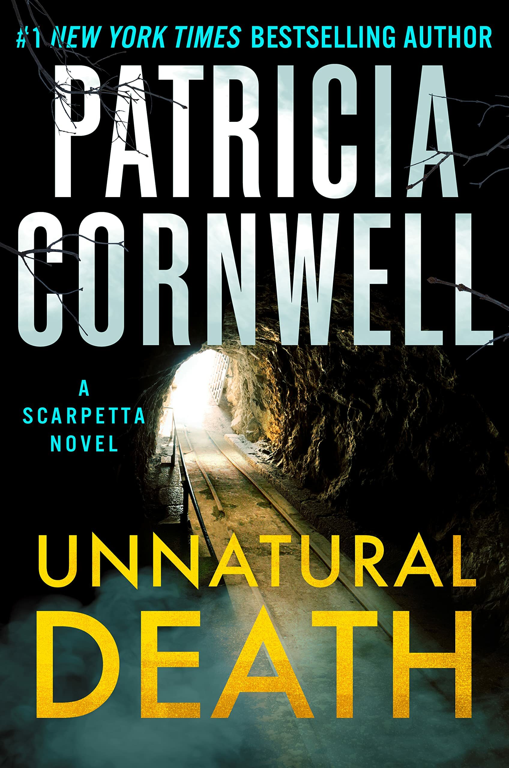 Unnatural Death (Kay Scarpetta #27)