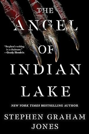 The Angel Of Indian Lake (The Indian Lake Trilogy #3)